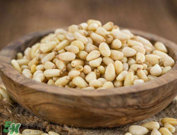 松籽是什么樹結(jié)的？松子還是松籽？