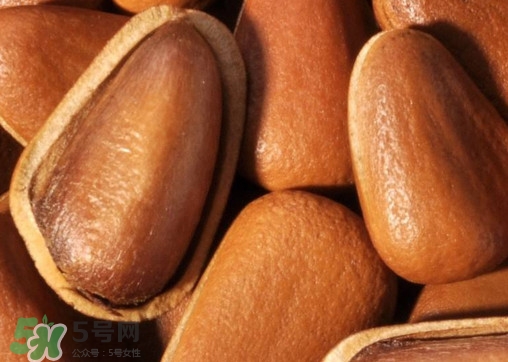 松籽什么季節(jié)采摘？吃松籽有什么好處？