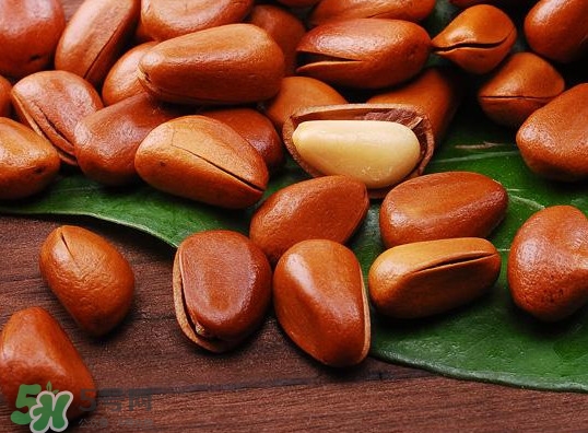 松籽可以生吃嗎？松籽怎么儲藏保存