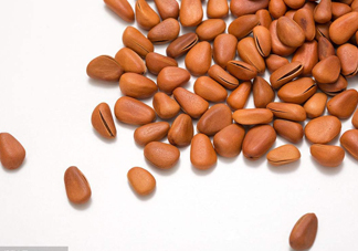 松籽多少錢一斤？松籽怎么炒能開口