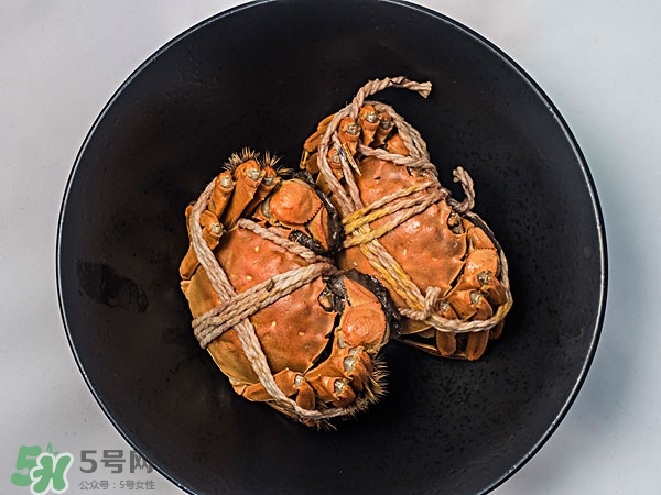 陽澄湖大閘蟹公的好還是母的好吃 陽澄湖大閘蟹公的好還是母的好吃