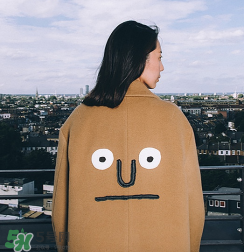 stereo vinyls是什么牌子？stereo vinyls是什么檔次？