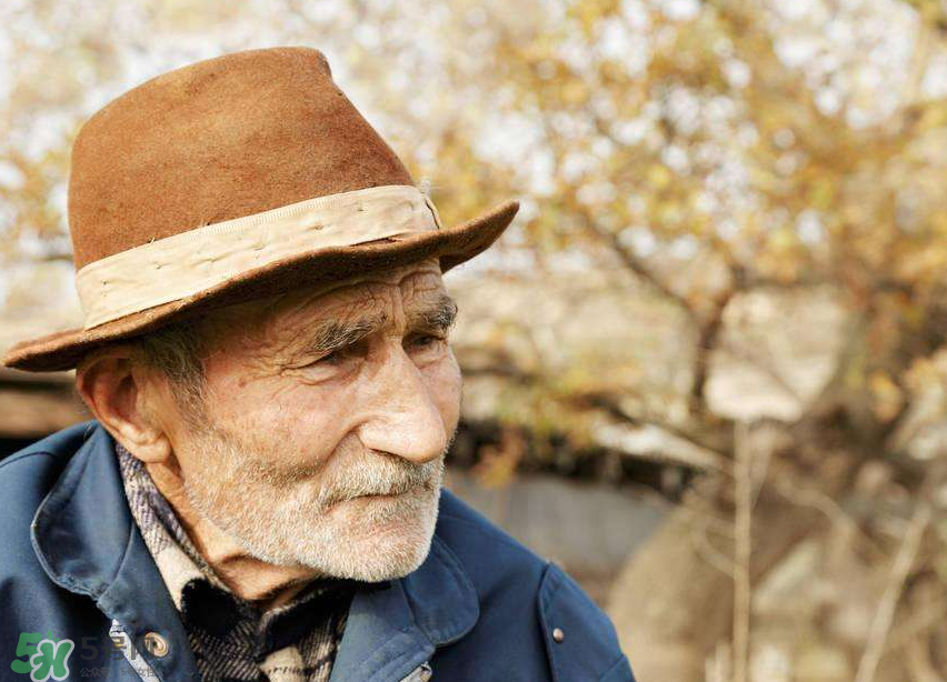 腦血栓是什么原因引起的？腦血栓是怎樣形成的？