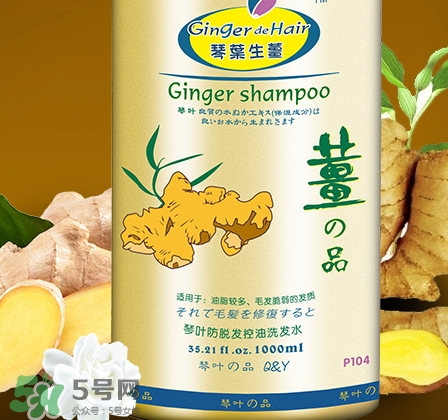 琴葉洗發(fā)水是哪國的？琴葉洗發(fā)水是幾線品牌