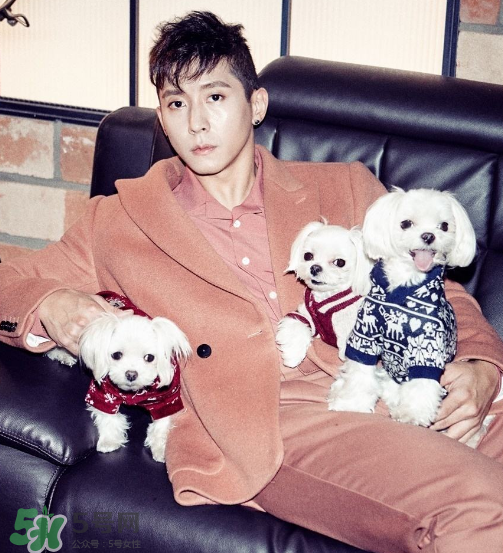 beyond closet是什么牌子？beyond closet是什么檔次？