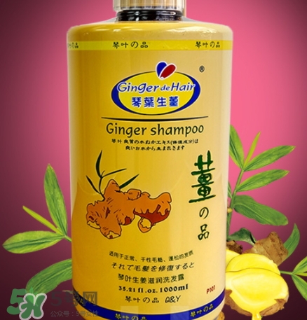 琴葉生姜洗發(fā)水好用嗎？琴葉生姜洗發(fā)水真假