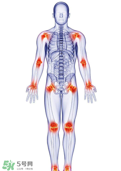 風(fēng)濕要怎么調(diào)理？風(fēng)濕要吃什么食物調(diào)養(yǎng)？