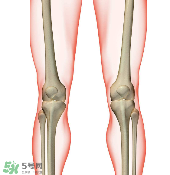 風(fēng)濕要看什么科？風(fēng)濕要掛什么科？