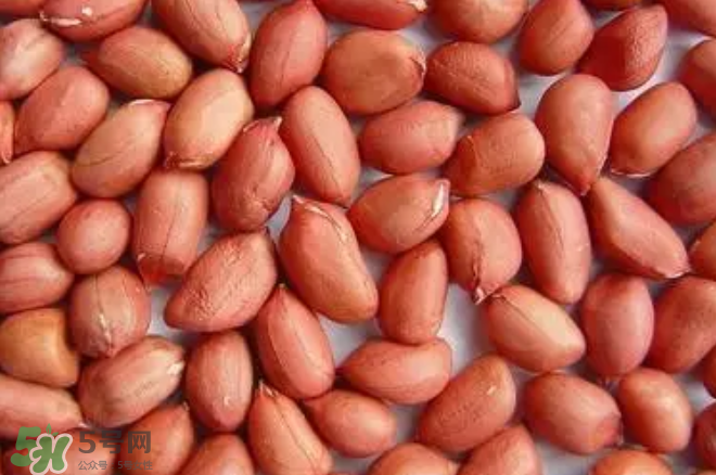 花生發(fā)芽后營(yíng)養(yǎng)如何？花生殼煮水喝有什么用？