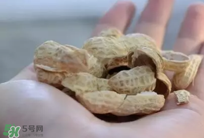 花生發(fā)芽后營(yíng)養(yǎng)如何？花生殼煮水喝有什么用？