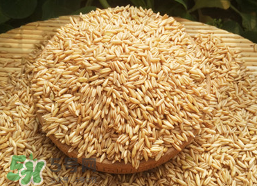 燕麥容易過敏嗎？燕麥容易過敏嗎？