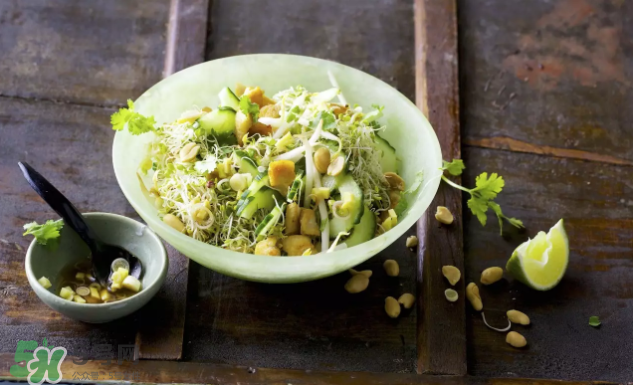 芽苗蔬菜是什么？花生衣有什么用？