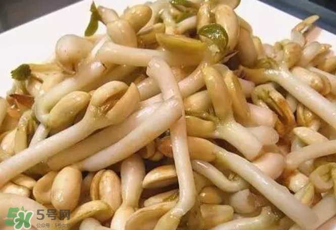 芽苗蔬菜是什么？花生衣有什么用？