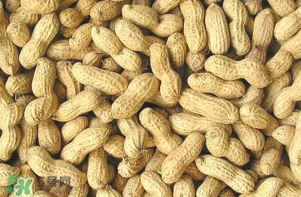 花生能減肥嗎？食用花生的注意事項
