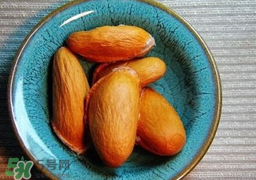 榴蓮籽能種嗎？榴蓮籽怎么種小盆栽？