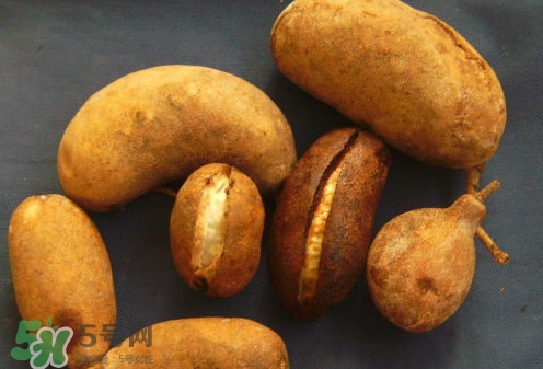 八月炸和八月扎有區(qū)別嗎？八月炸能泡酒嗎