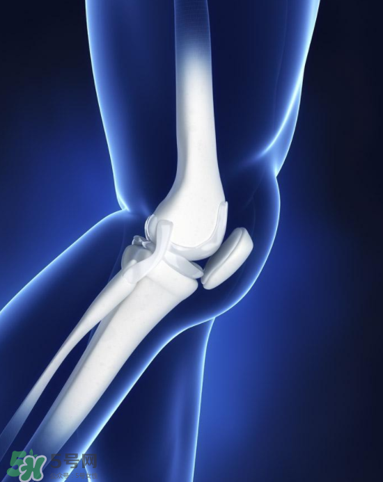 風濕可以吃螃蟹嗎？得了風濕能吃螃蟹嗎？