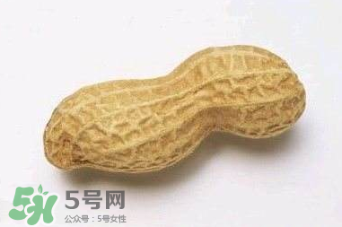 花生有哪些種類型？花生怎么栽培管理？