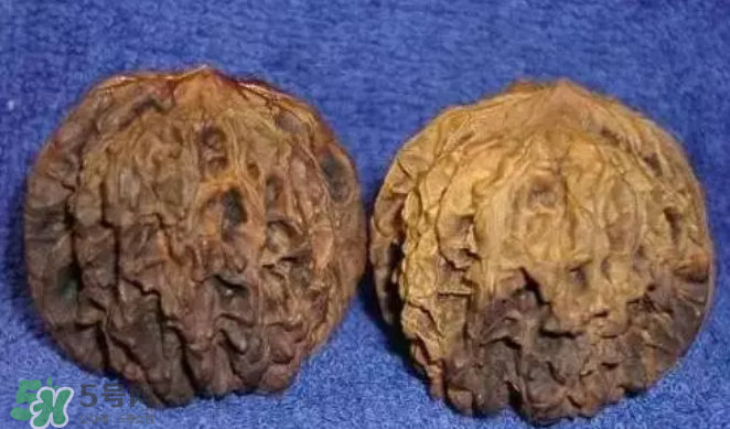 核桃上的陰皮是什么？核桃對(duì)血管的作用