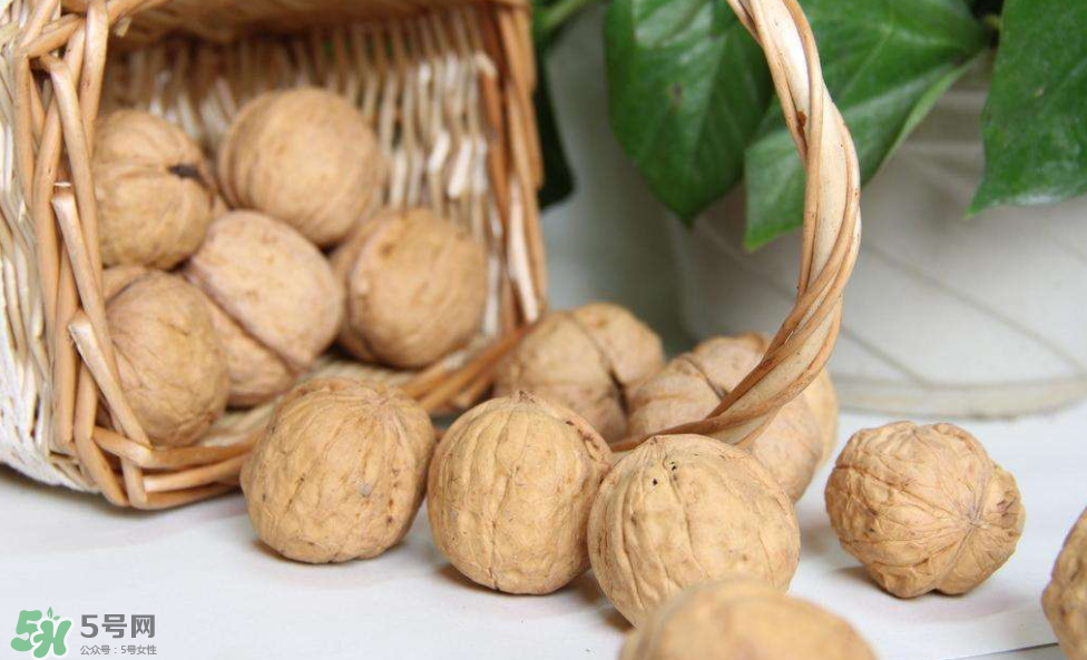 核桃組有哪些？核桃的栽培技術(shù)是什么？