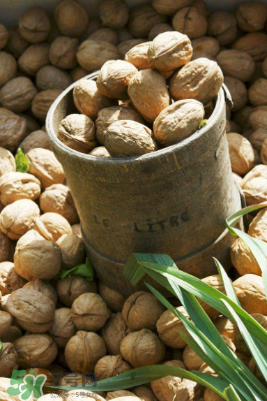 核桃酒是什么？核桃酒的功效是什么？