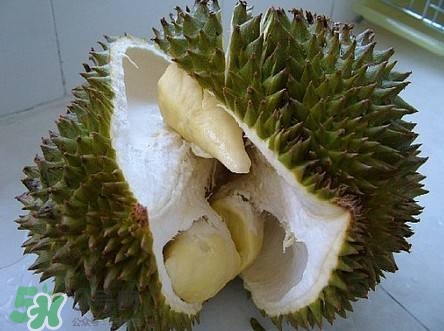 榴蓮和雞蛋能一起吃嗎？榴蓮和什么不能一起吃？