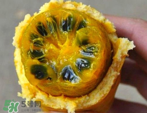 八月炸適合哪里種植？八月炸作用和功效是什么