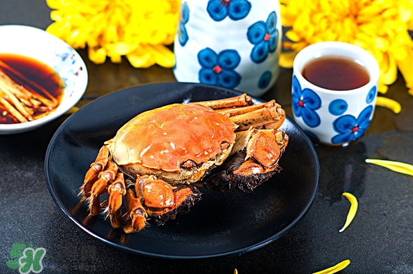 陽澄湖大閘蟹公的好還是母的好吃 陽澄湖大閘蟹公的好還是母的好吃