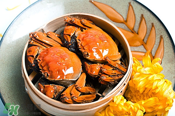 吃螃蟹能喝紅酒嗎 吃螃蟹喝紅酒可以嗎 吃螃蟹能喝紅酒嗎 吃螃蟹喝紅酒可以嗎