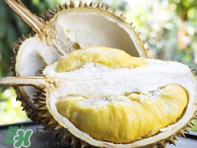 榴蓮的吃法大全 榴蓮殼的吃法 榴蓮的吃法大全 榴蓮殼的吃法