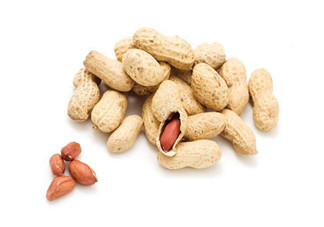 芽苗蔬菜是什么？花生衣有什么用？