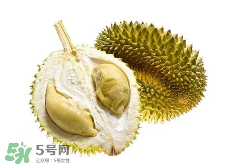 榴蓮籽能種嗎？榴蓮籽怎么種小盆栽？