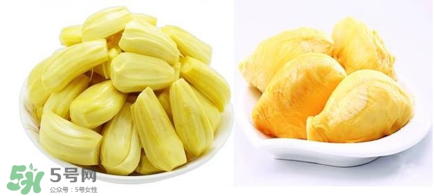 榴蓮和菠蘿蜜一樣嗎？榴蓮和菠蘿蜜哪個(gè)營(yíng)養(yǎng)好？