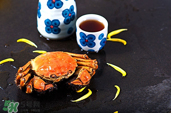 陽澄湖大閘蟹公的好還是母的好吃 陽澄湖大閘蟹公的好還是母的好吃