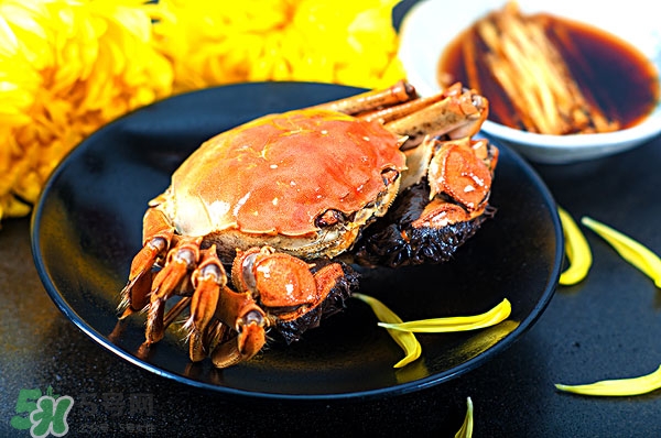 陽澄湖大閘蟹公的好還是母的好吃 陽澄湖大閘蟹公的好還是母的好吃