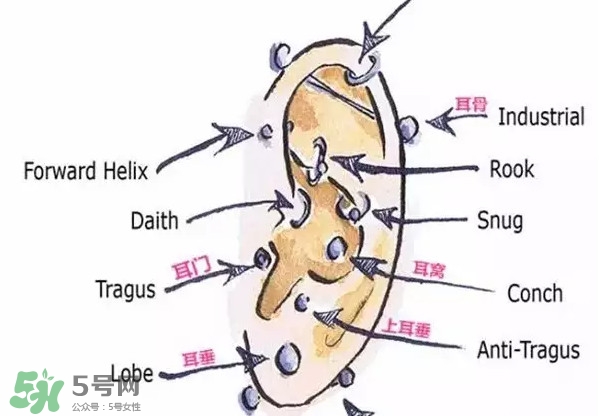 耳洞打什么位置好看？打耳洞痛不痛？