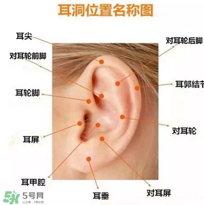 打耳洞多少錢一對？打耳洞相當(dāng)于什么疼