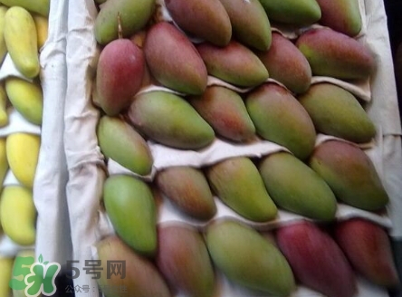 芒果有哪些品種？哪種芒果最好吃？