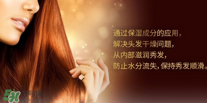 indefinie是什么牌子？indefinie洗發(fā)水怎么樣？