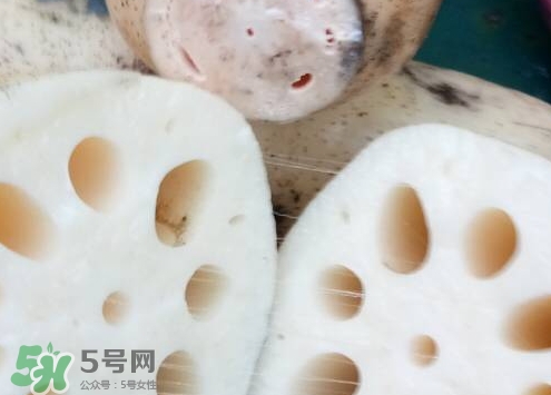 粉藕和脆藕的區(qū)別_粉藕和脆藕怎么選 粉藕和脆藕的區(qū)別_粉藕和脆藕怎么選