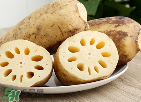 粉藕和脆藕的區(qū)別_粉藕和脆藕怎么選 粉藕和脆藕的區(qū)別_粉藕和脆藕怎么選