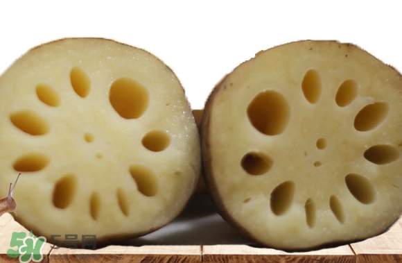 九孔藕和七孔藕哪個脆_九孔藕和七孔藕哪個粉 九孔藕和七孔藕哪個脆_九孔藕和七孔藕哪個粉