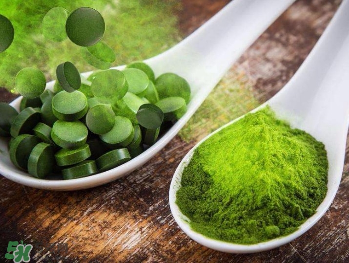 螺旋藻減肥嗎？螺旋藻減肥的正確吃法