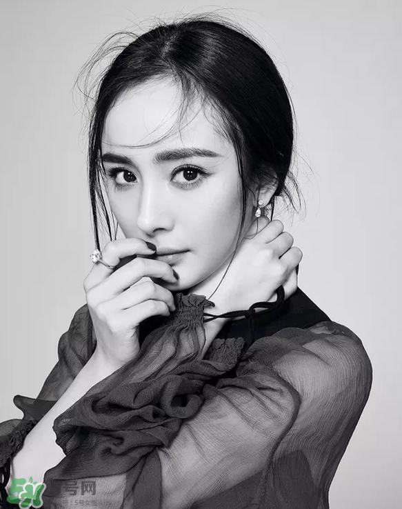 鼻綜合能抽煙嗎？鼻綜合能吃魚嗎？