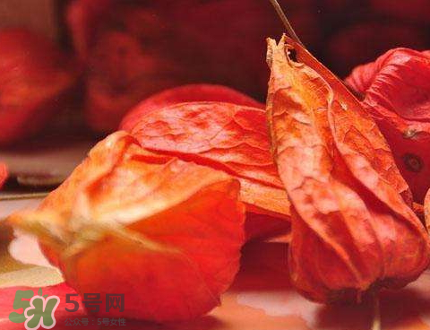 苦姑娘能治糖尿病嗎 苦姑娘能治療咽炎嗎 苦姑娘能治糖尿病嗎 苦姑娘能治療咽炎嗎