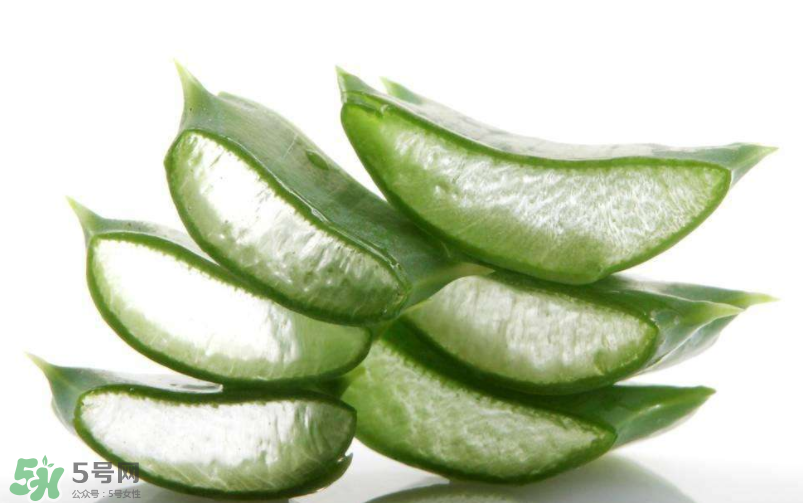 敏感肌能使用蘆薈護(hù)膚嗎？蘆薈膠有什么用？