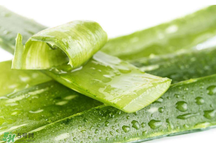 敏感肌能使用蘆薈護(hù)膚嗎？蘆薈膠有什么用？