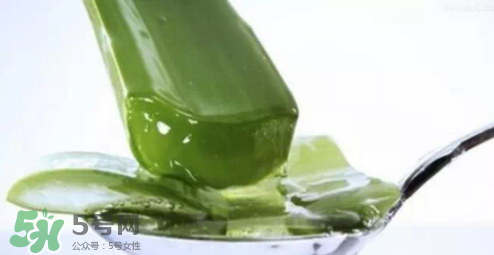 蘆薈怎么吃？蘆薈番茄湯的做法 