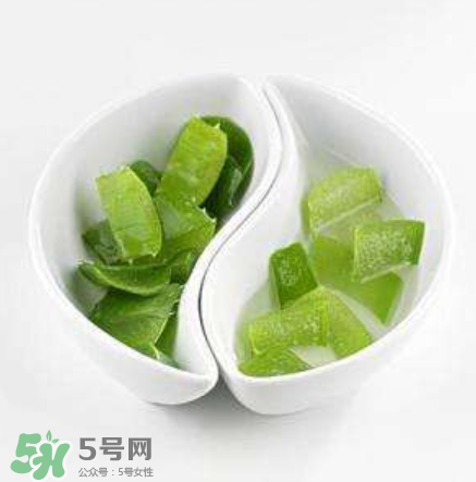 新鮮的蘆薈怎么吃？蘆薈的多種吃法