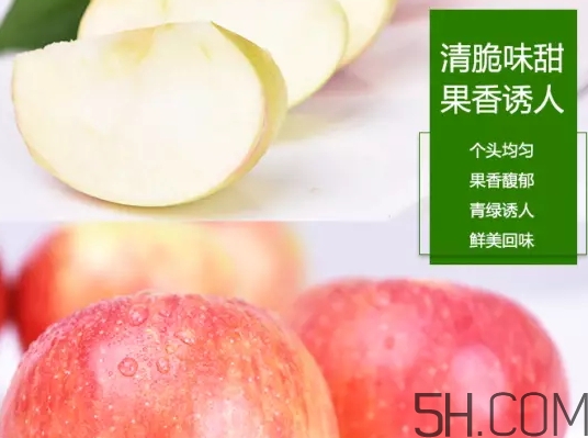 美八蘋果價(jià)格多少錢？美八蘋果多少錢一斤？